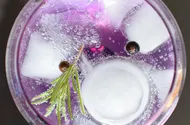 Gin Fizz