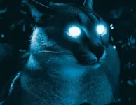Tom