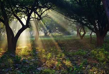 Delhi