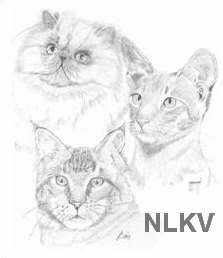 banner NLKV