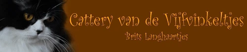 banner vijfvinkeltjes