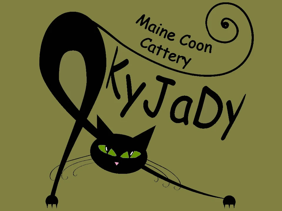 banner kyjady
