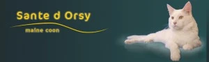 banner sante dorsy